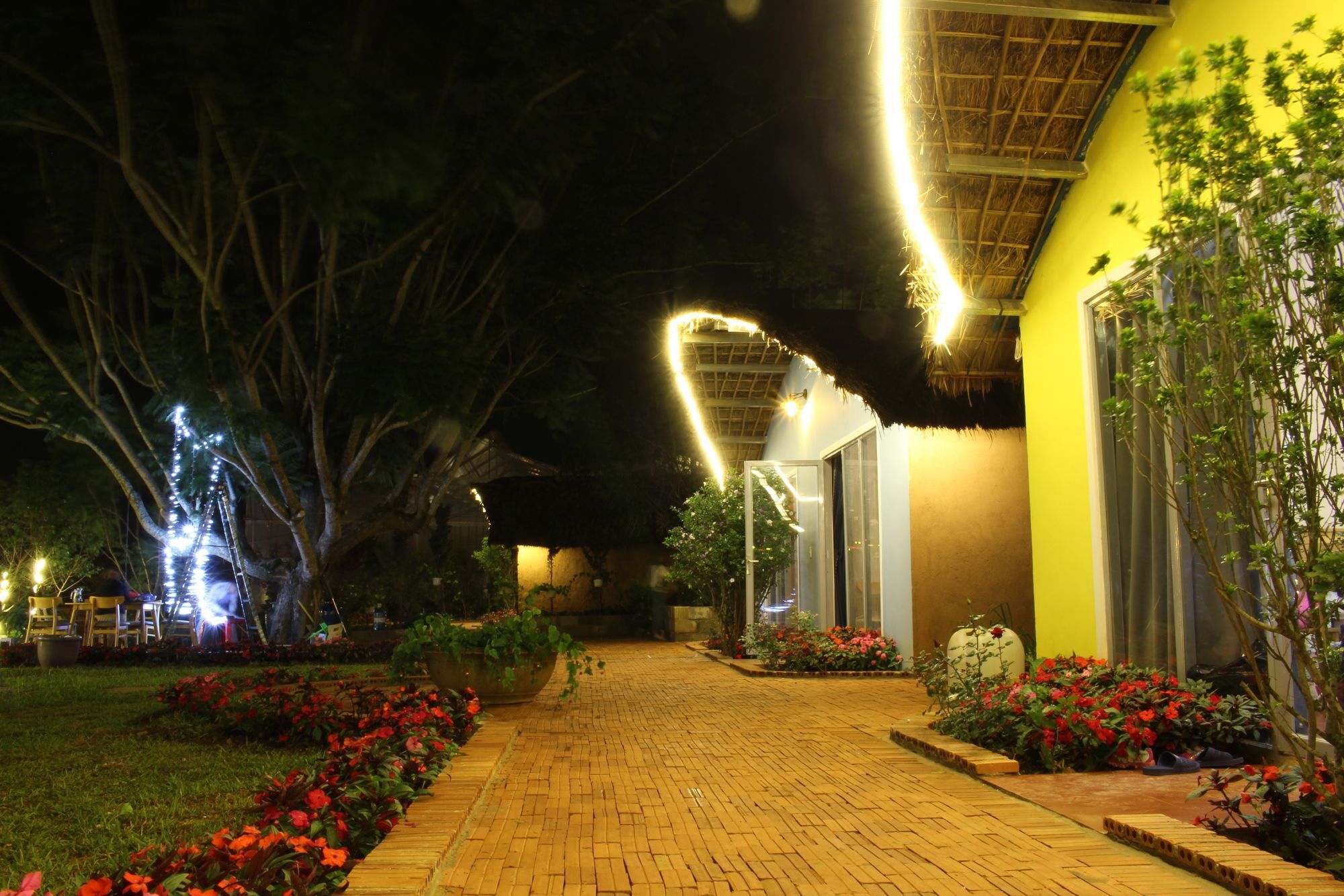 Cocoon Bungalow Dalat Eksteriør bilde